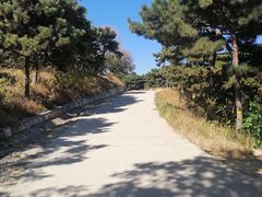 -北京西山国家森林公园