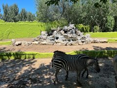 -北京野生动物园