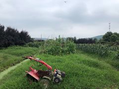 -呼吸森林·生态农庄农家乐私房菜