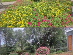 -宝鸡植物园
