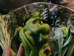 -缘生态云南菜·野生菌庭院餐厅(华侨城店)