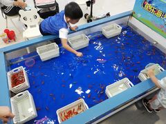 -宝贝王(惠州大亚湾店)