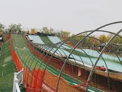 -北京鹿世界主题园