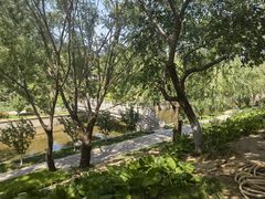 -元大都城垣遗址公园