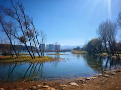 -洱海月湿地公园