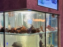 -海派悦庭·海胆烧麦·新融合菜(凯德广场店)