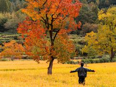 -塔川景区