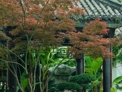 -墨池公园
