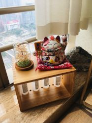 -JNK皮肤管理中心