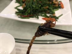 -金河半岛园林酒家(金融城店)