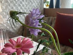 -良木缘咖啡西餐(蜀汉路店)