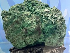 -中国第四纪冰川遗迹陈列馆