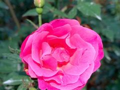 -人民公园(罗湖区)