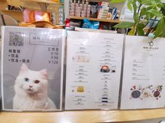 -飞行喵MR PILOT|猫舍·猫咖(静安大融城店)