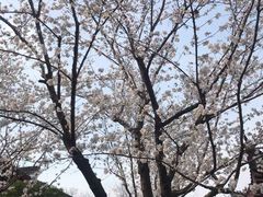 -堤角公园