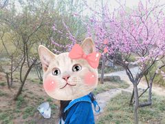 -石家庄市植物园