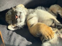 -大连森林动物园