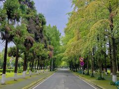 -四川大学(望江校区)