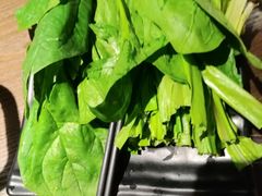 -呷哺呷哺(砂之船奥莱店)