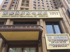 -宠爱国际动物医院·消化内科·心肾内科·ISFM猫友好(望京店)