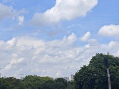 -广州市越秀区育才实验学校