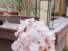 -黛瓦里·花园飨宴