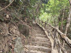 -海南热带雨林国家公园吊罗山景区