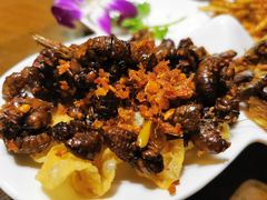 -园林美食城·本土农家菜(杨和镇店)