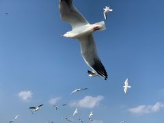 -滇池海埂公园