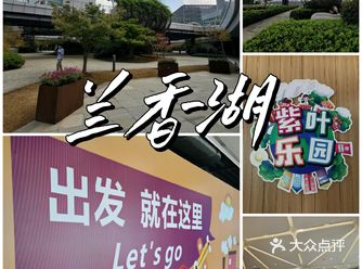 兰香湖-紫叶广场超好逛