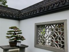 -杭州植物园