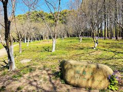 -上海共青森林公园