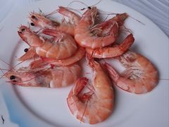 -宾朋海鲜特色美食餐厅·纯手工鲅鱼水饺(兴海路店)