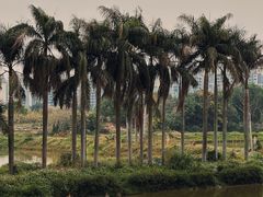 -广州市番禺中心医院(主院区)