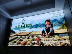 -御品•瑶浴灸疗SPA