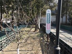 -后海公园