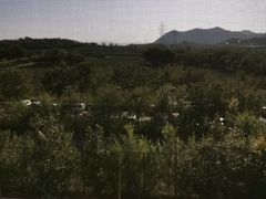 -北京张裕爱斐堡酒庄