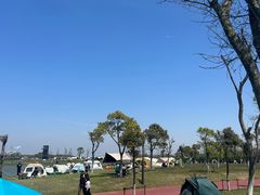 -春花秋色城市公园