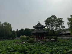 -莲池书院博物馆