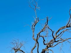 -风云岭森林公园