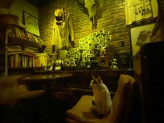 -城墙外BAR