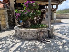 -乌鲁瓦图寺