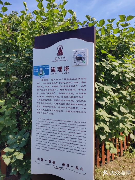 蒙山大佛景区图片