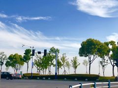 -合肥滨湖国家森林公园