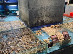 水产区-徐记海鲜(明德门店)