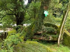 -井冈山风景名胜区
