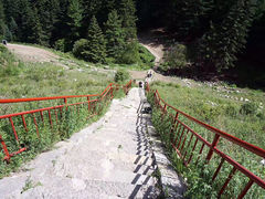 -芦芽山旅游度假区