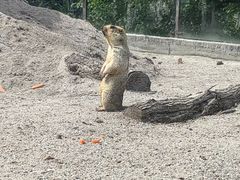 -哈尔滨北方森林动物园