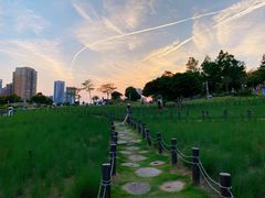 -红花山公园