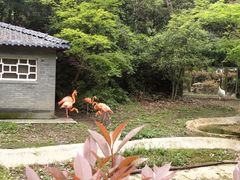 -杭州动物园